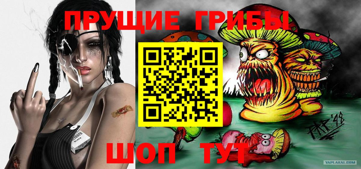 Псилоцибиновые грибы Psilocybine cubensis Гудермес