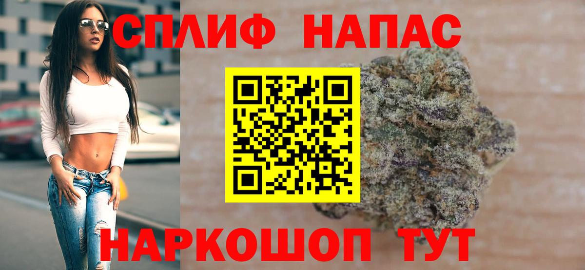 Каннабис сатива Гудермес